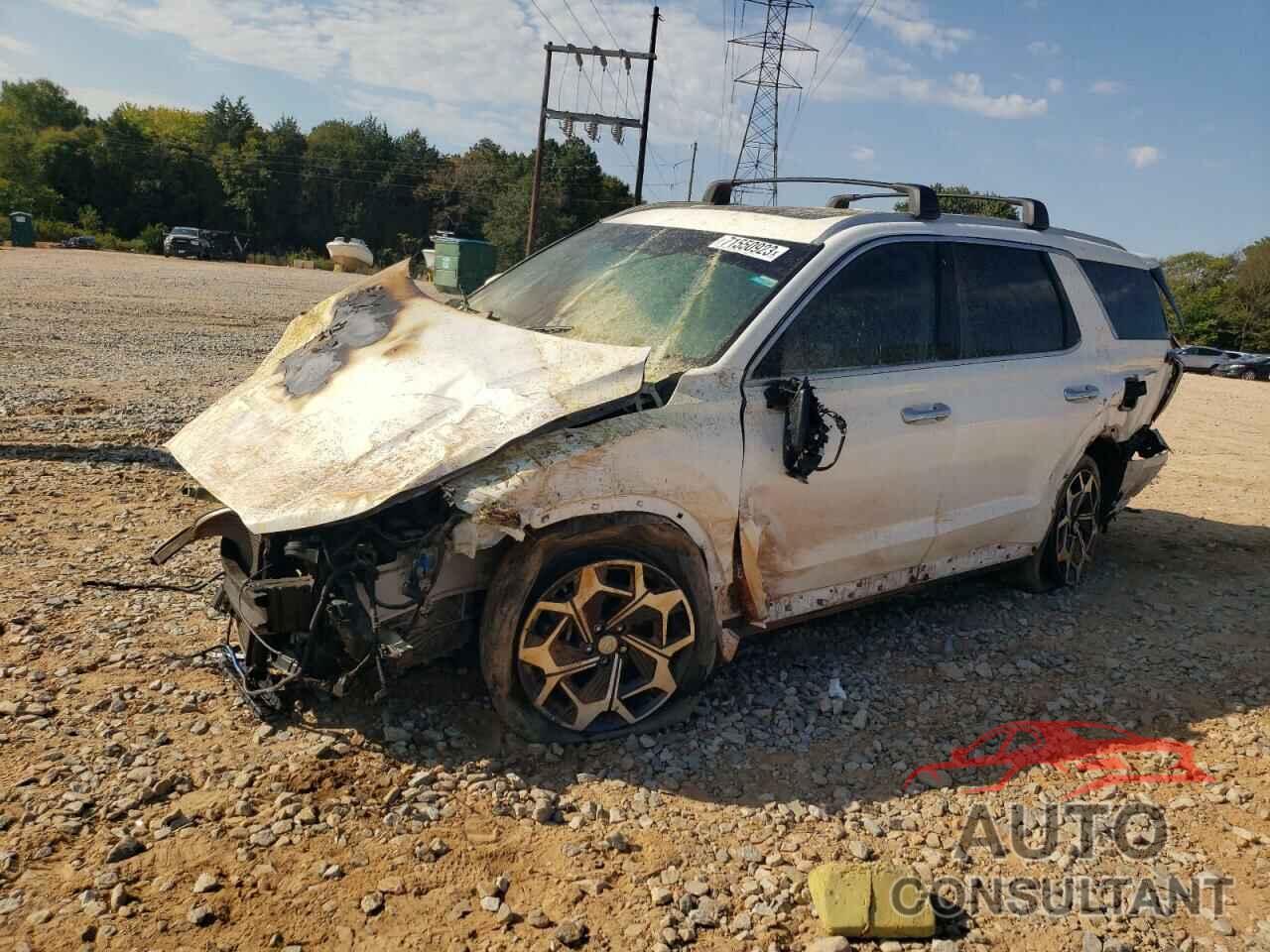 HYUNDAI PALISADE 2021 - KM8R7DHEXMU200677