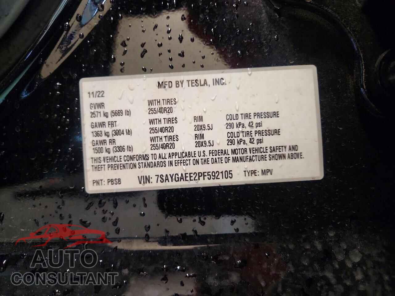 TESLA MODEL Y 2023 - 7SAYGAEE2PF592105