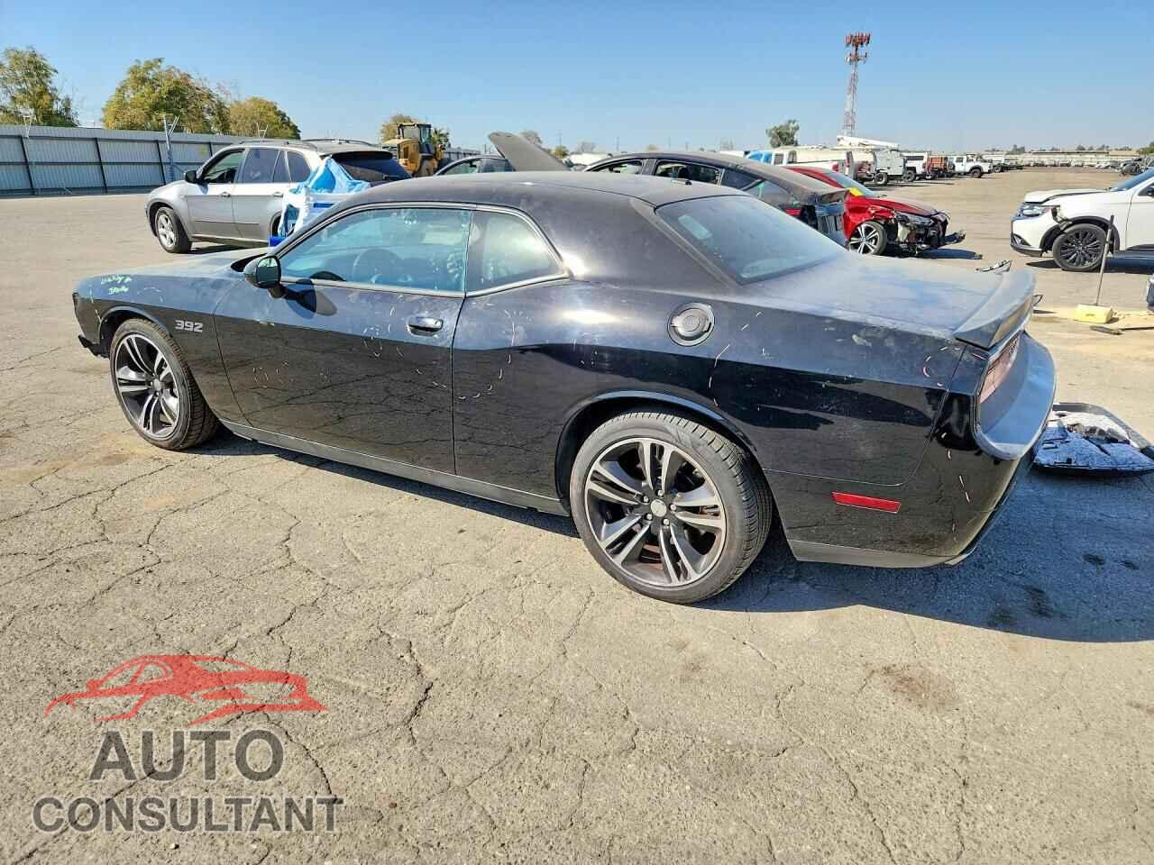 DODGE CHALLENGER 2014 - 2C3CDYDJ5EH165455