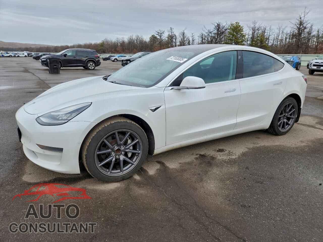 TESLA MODEL 3 2020 - 5YJ3E1EA1LF613644
