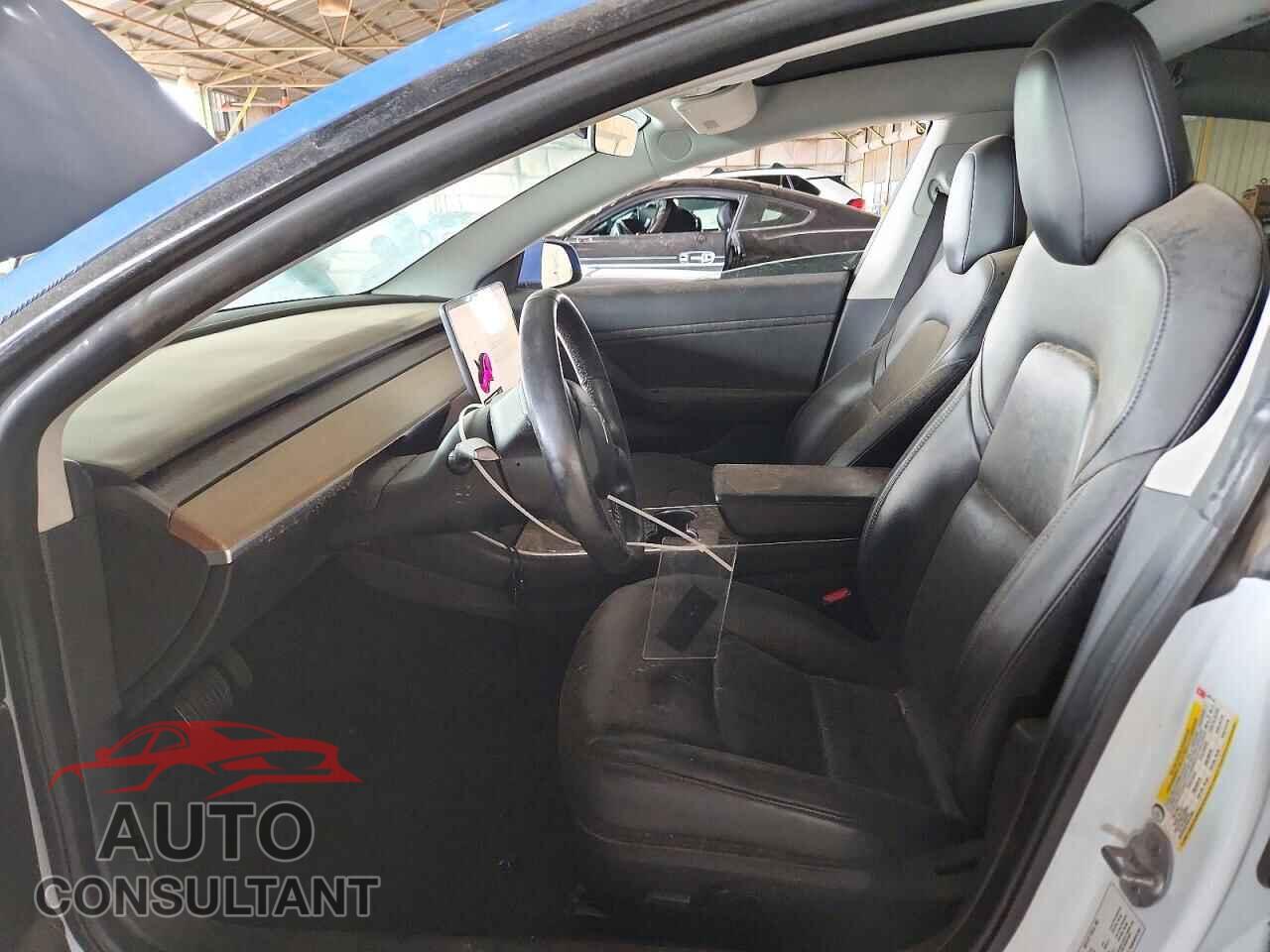 TESLA MODEL 3 2019 - 5YJ3E1EA9KF397119