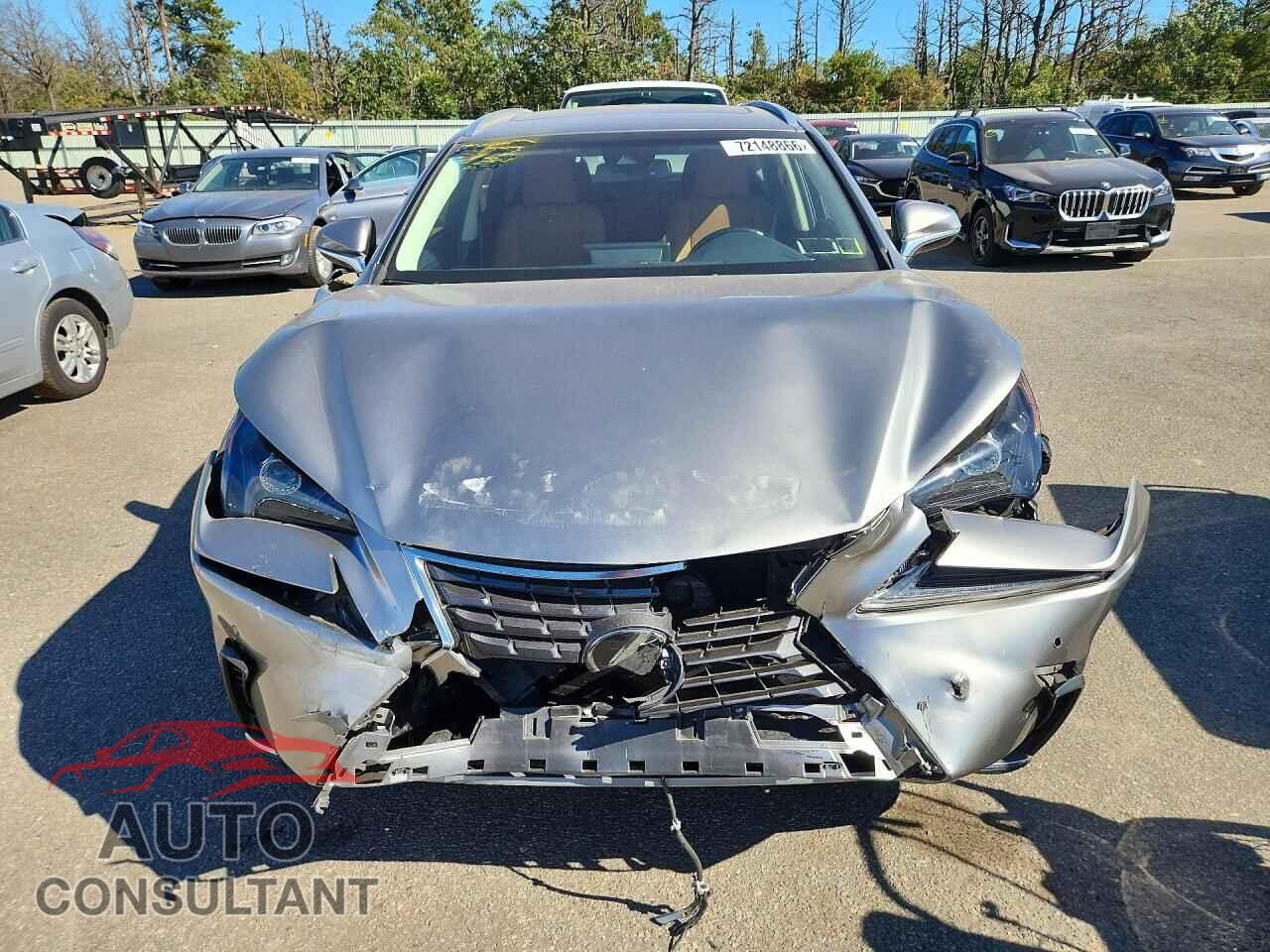 LEXUS NX 2019 - JTJBARBZ9K2210350