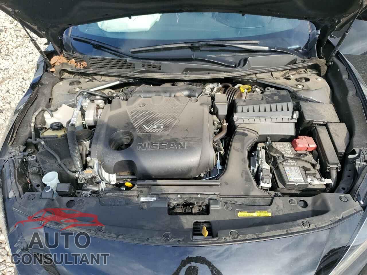 NISSAN MAXIMA 2022 - 1N4AA6EV1NC505372