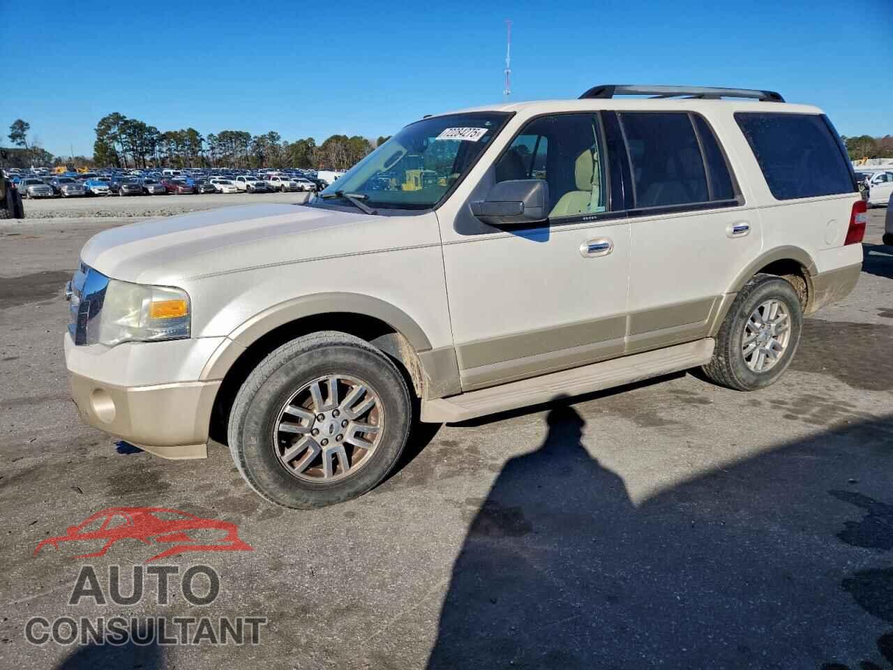 FORD EXPEDITION 2010 - 1FMJU1H58AEA29809