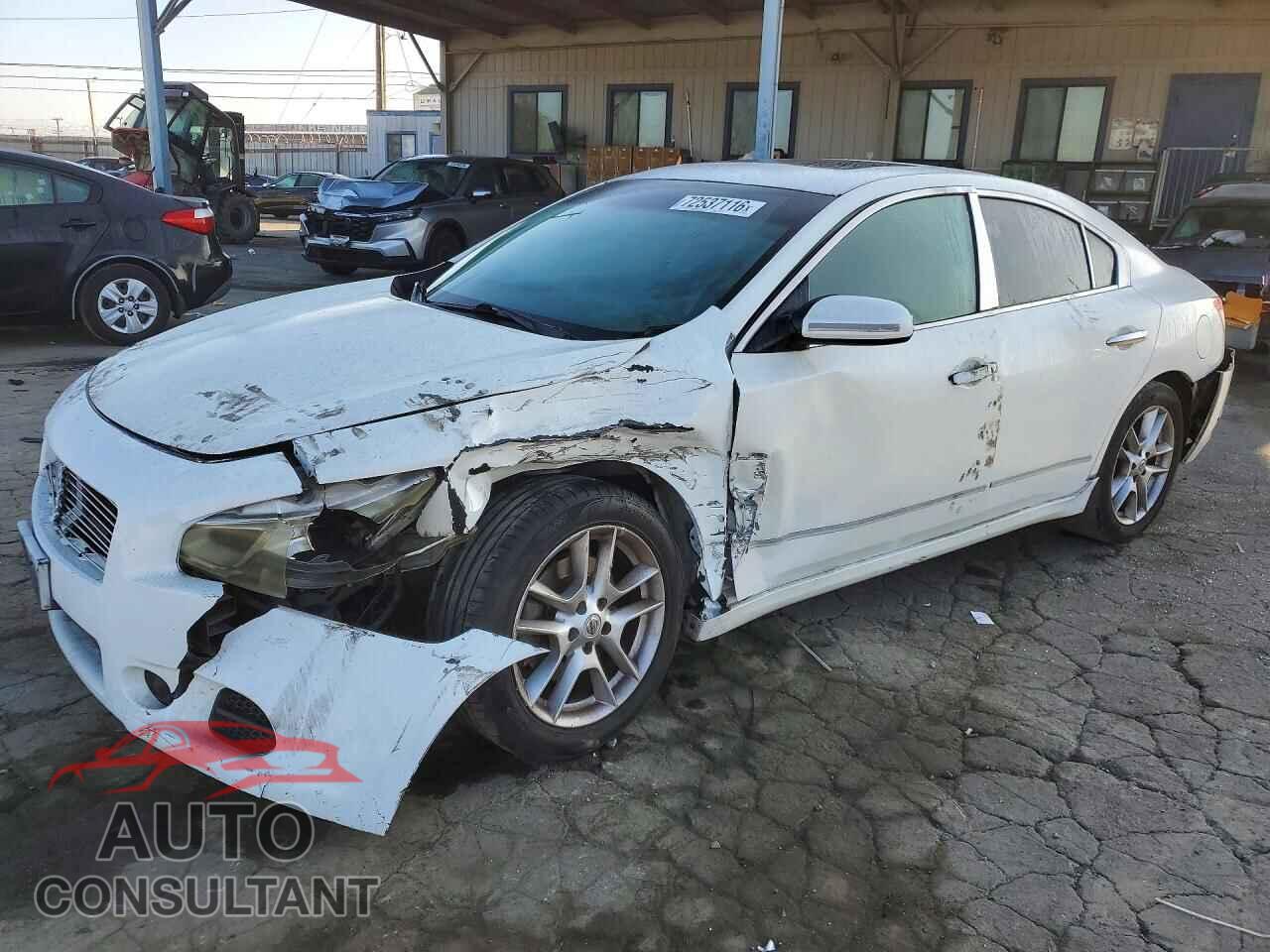 NISSAN MAXIMA 2009 - 1N4AA51E19C816905
