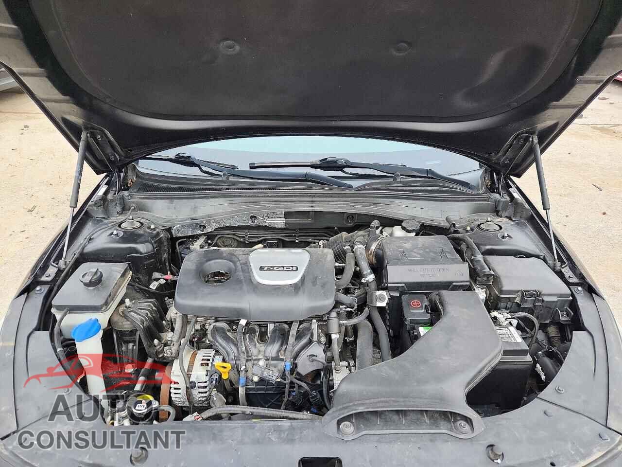 KIA OPTIMA 2019 - 5XXGU4L11KG332139