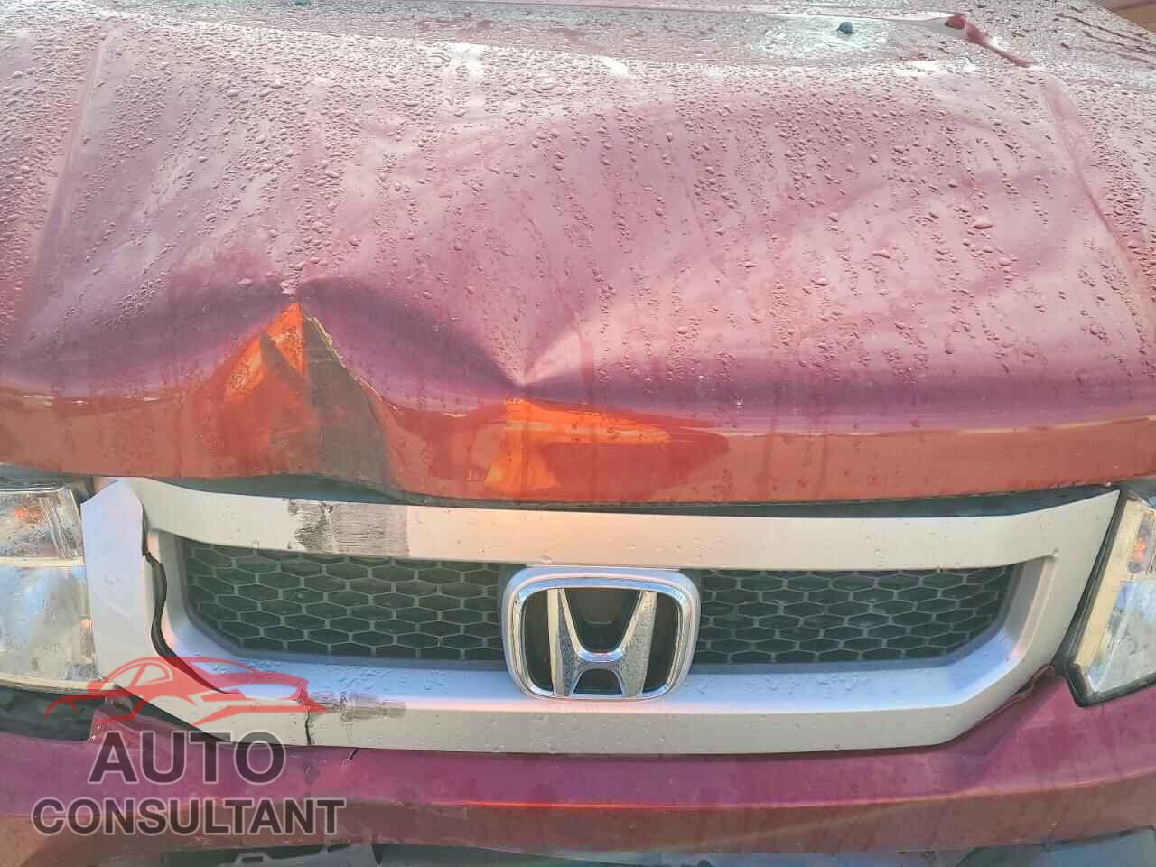 HONDA ELEMENT 2011 - 5J6YH2H76BL005501