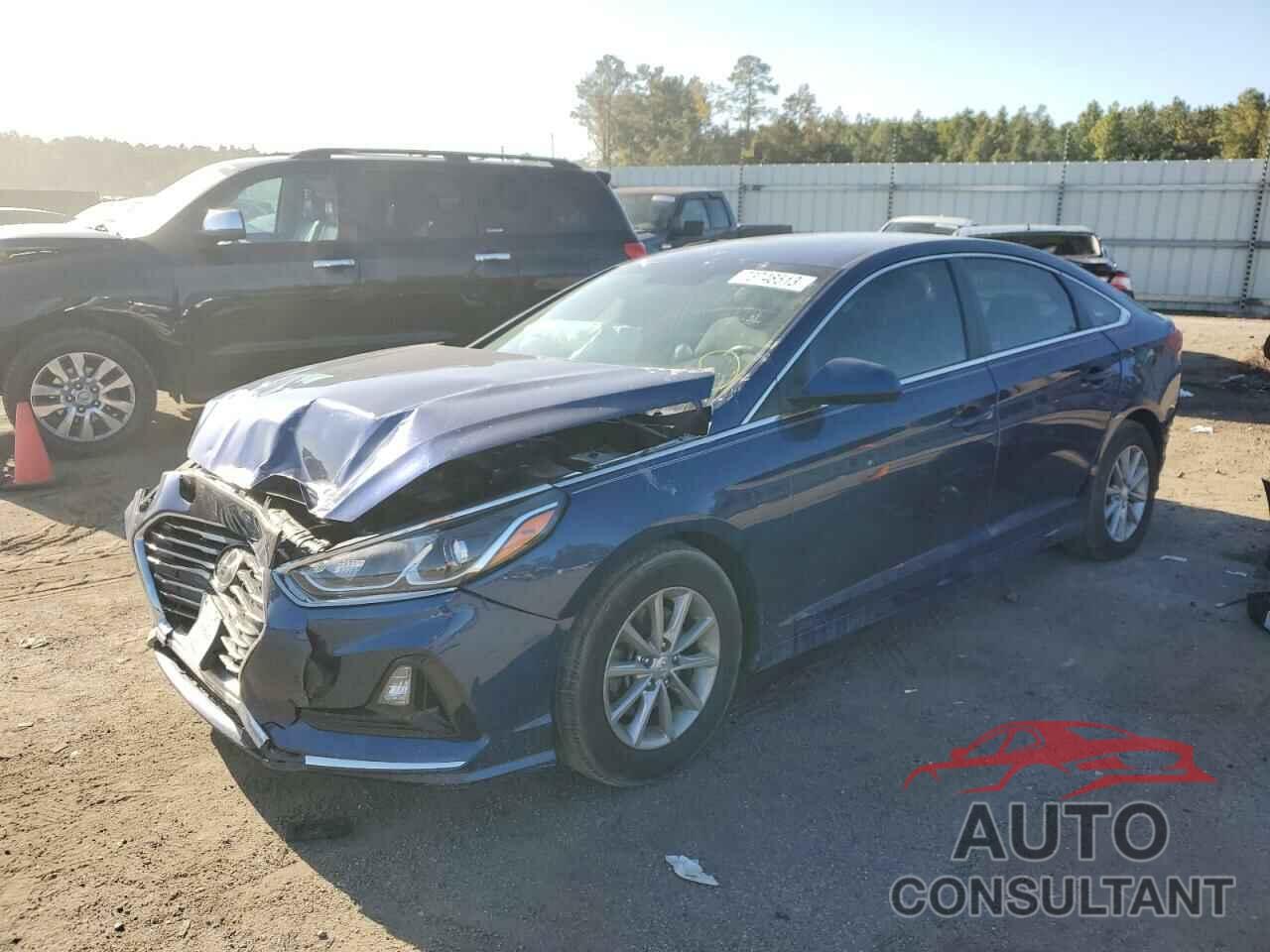HYUNDAI SONATA 2019 - 5NPE24AF5KH813270