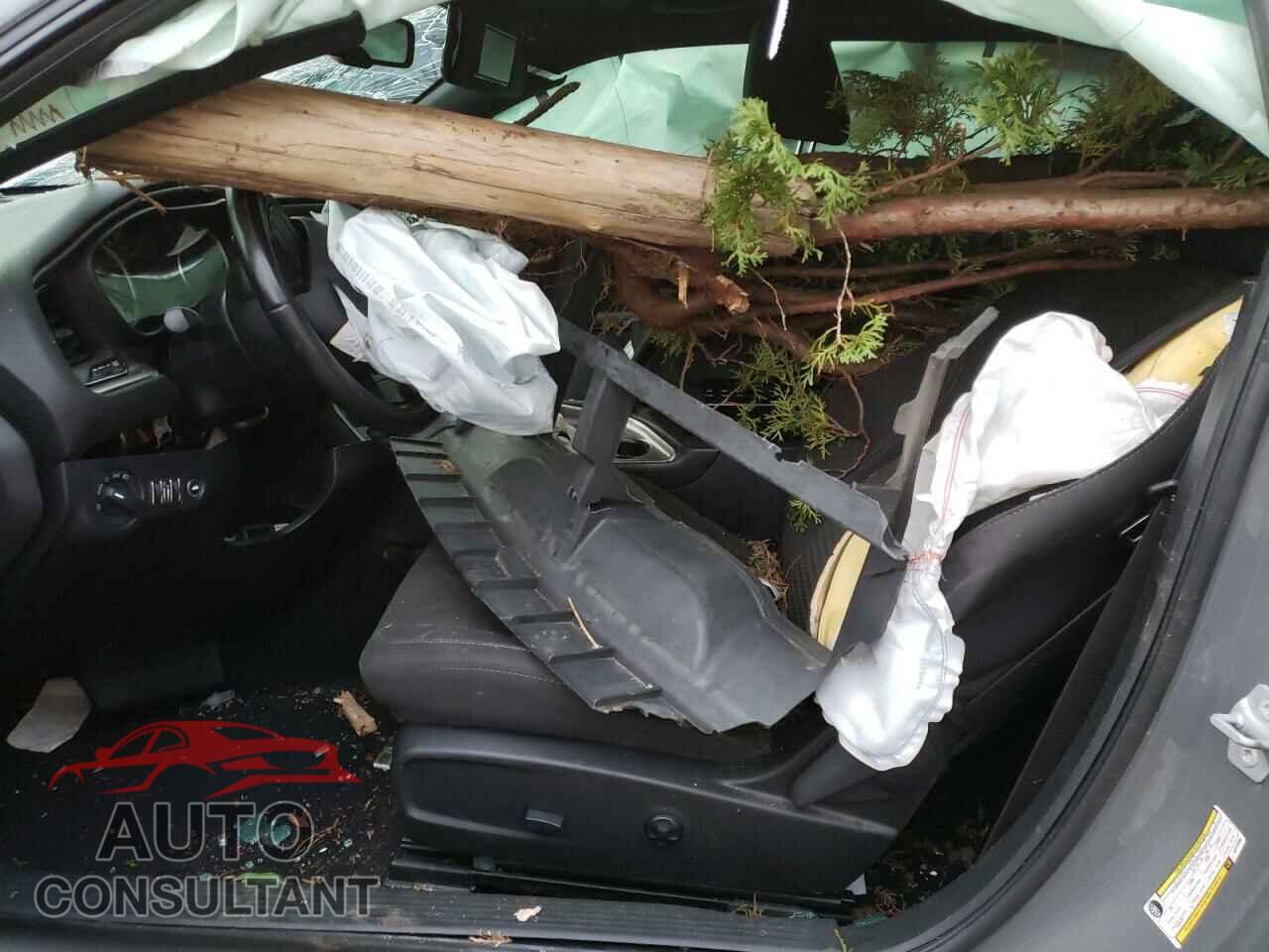 DODGE CHALLENGER 2019 - 2C3CDZAG3KH723555