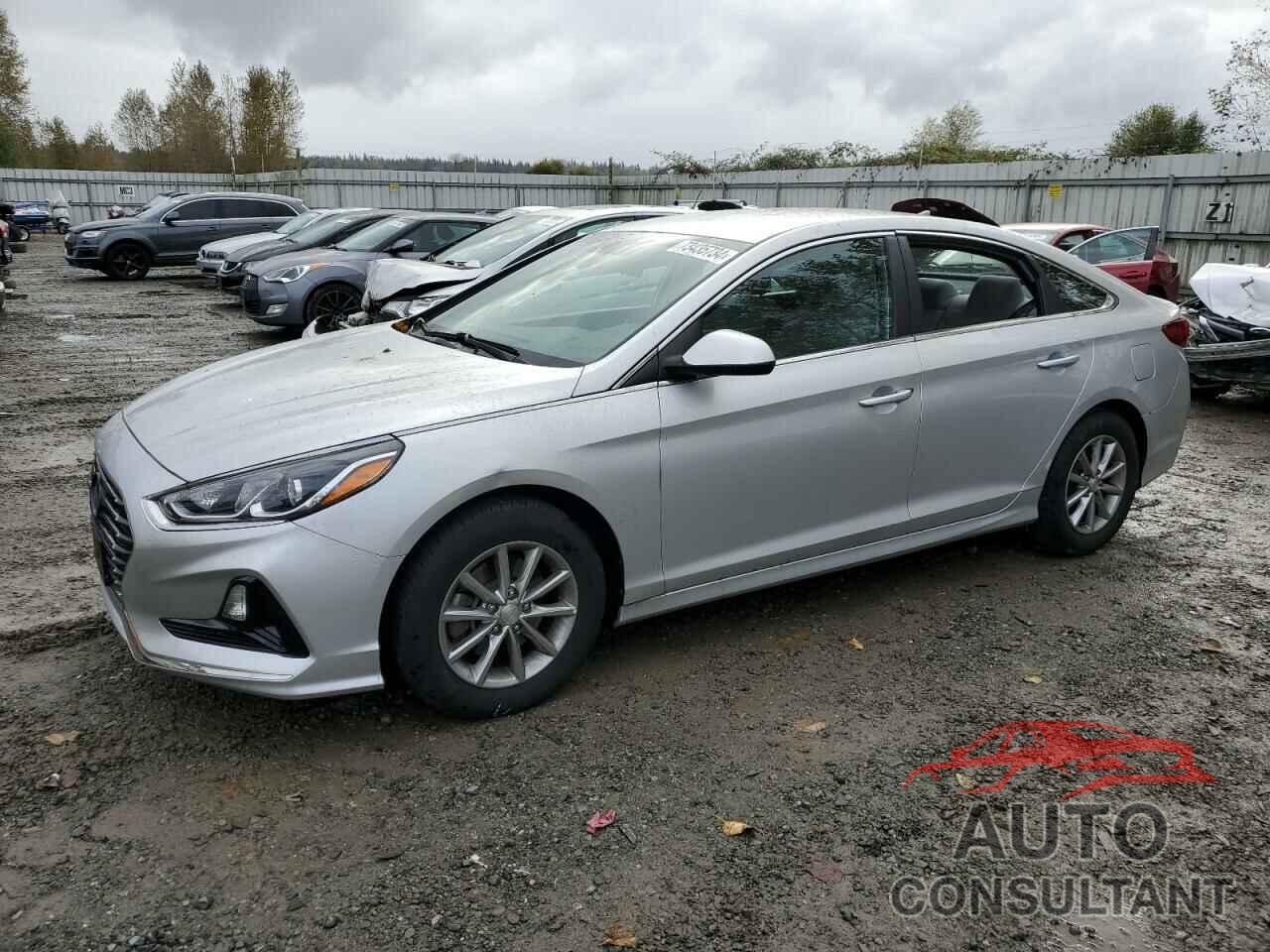 HYUNDAI SONATA 2018 - 5NPE24AF3JH599393