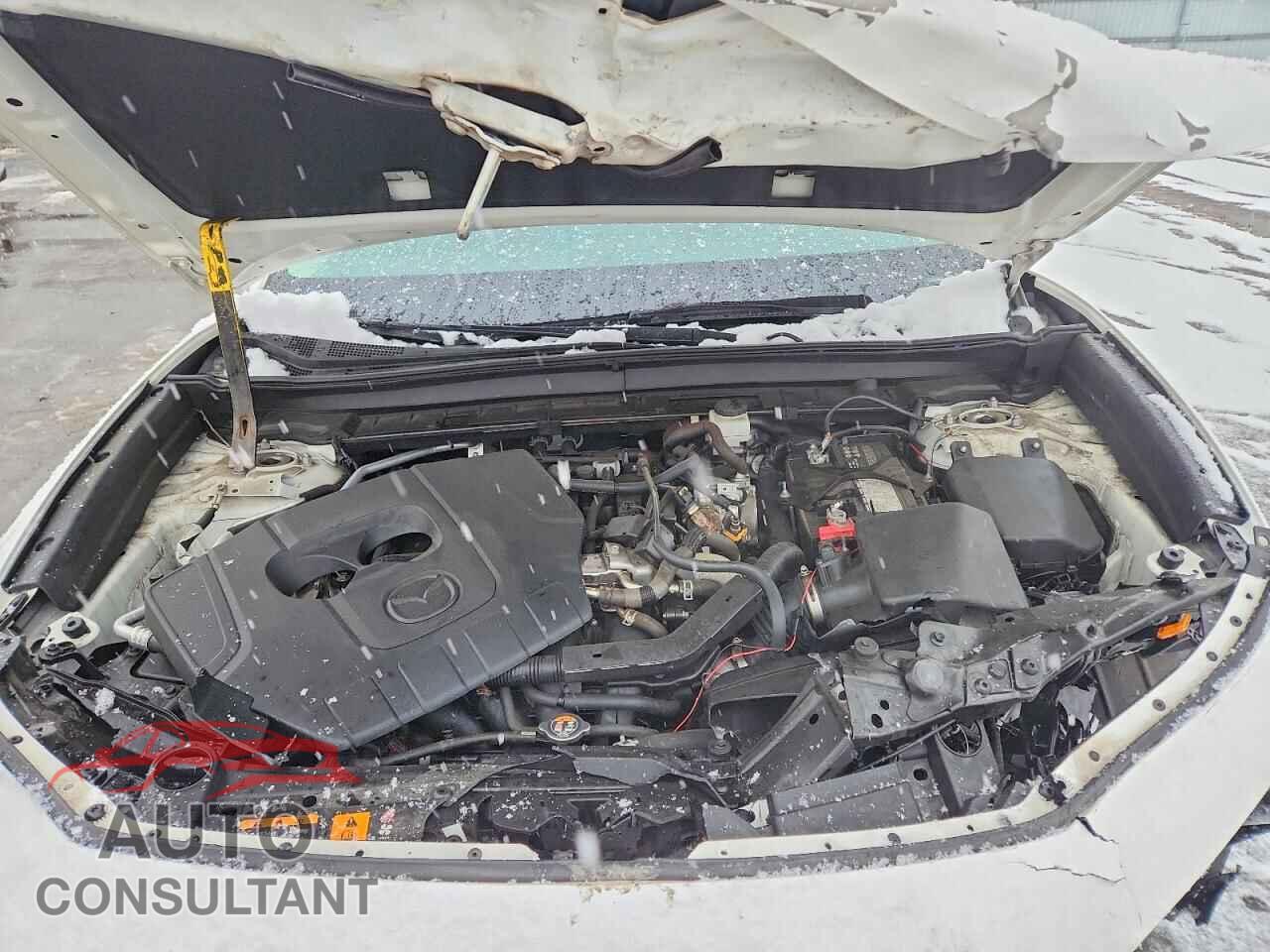 MAZDA CX30 2024 - 3MVDMBCM3RM602898