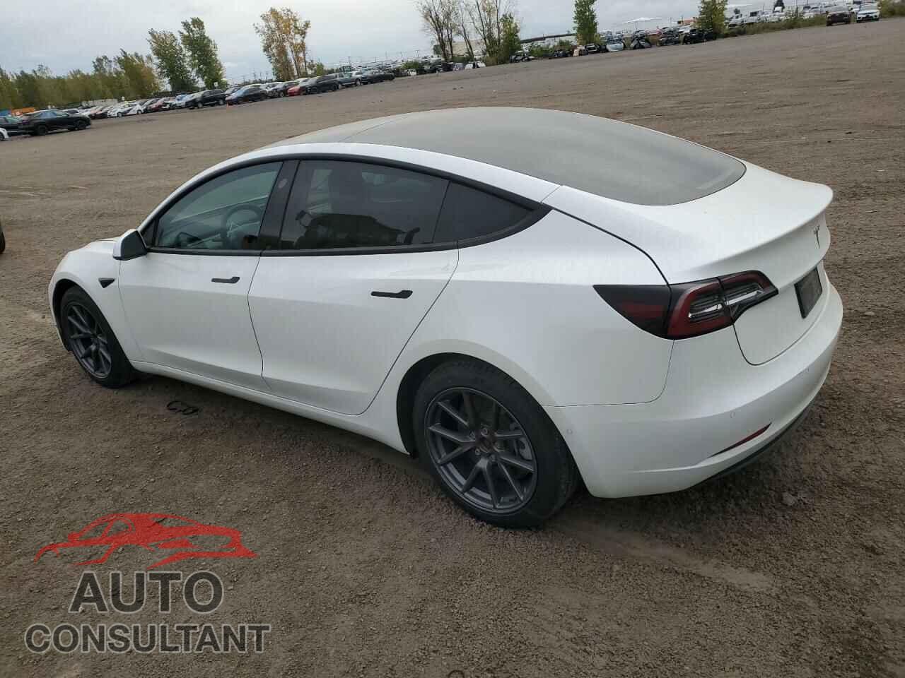 TESLA MODEL 3 2021 - 5YJ3E1EA7MF031002