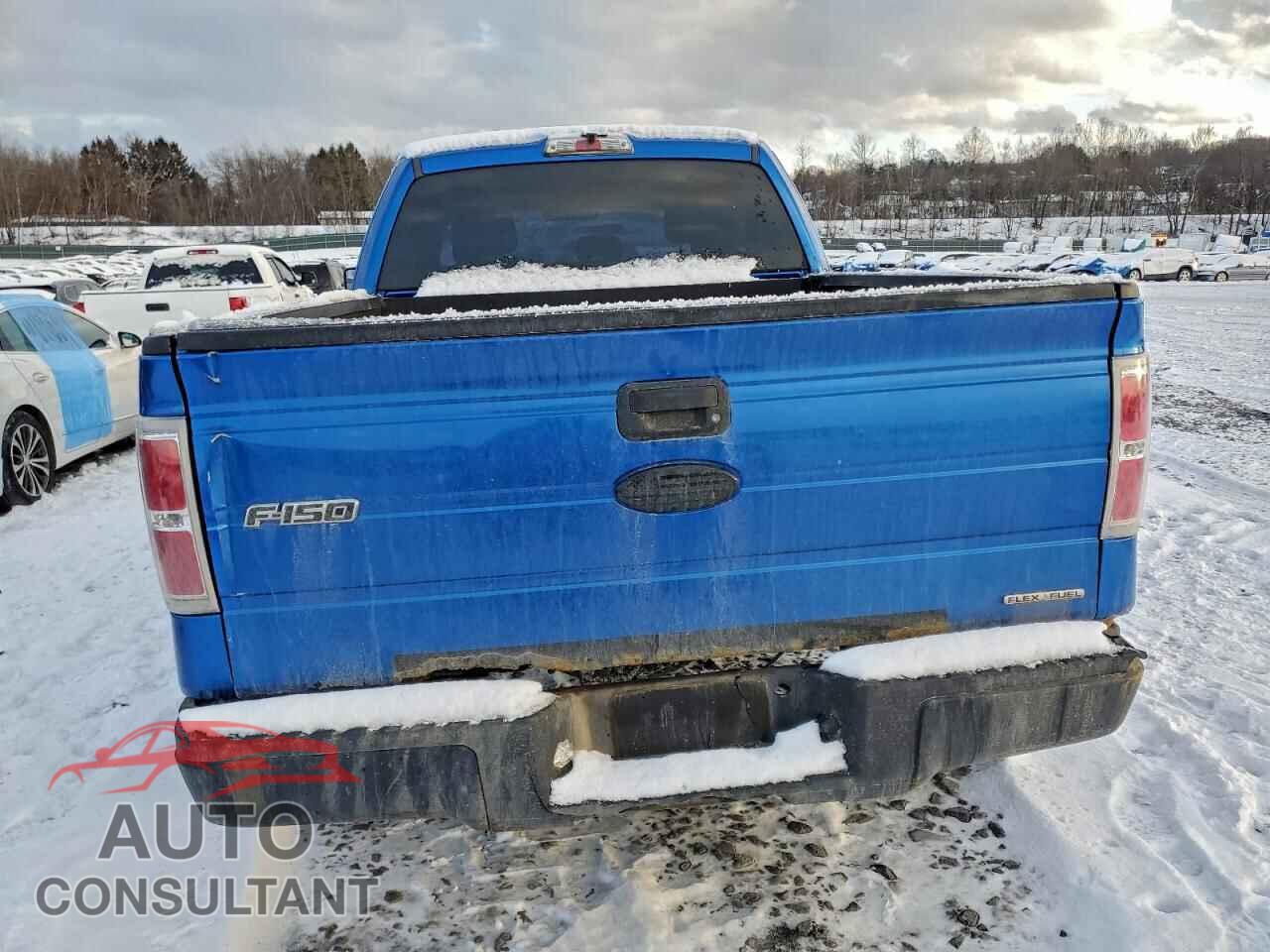 FORD F-150 2012 - 1FTFX1EF0CFB12887