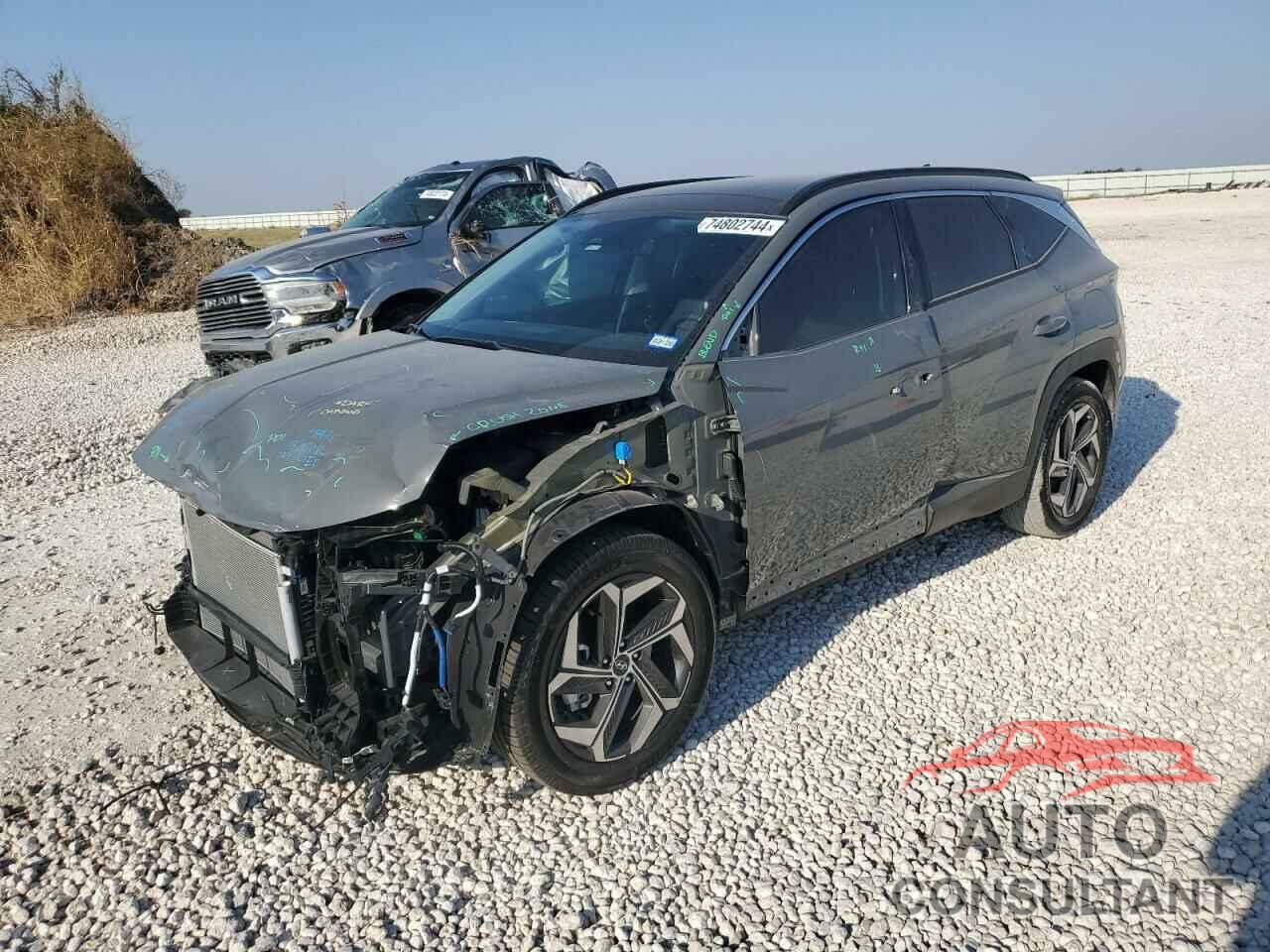 HYUNDAI TUCSON 2024 - 5NMJE3DE0RH375333