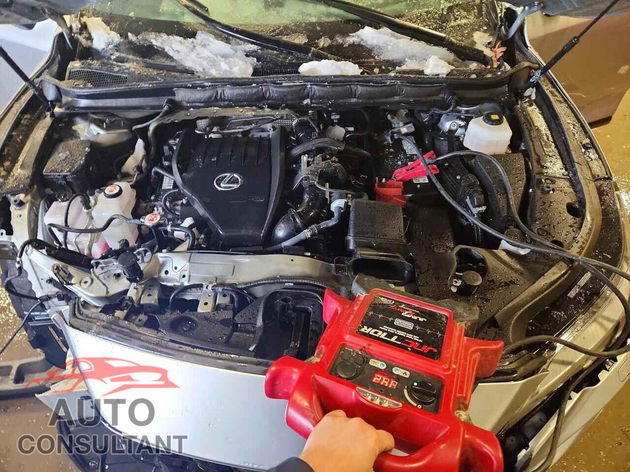 LEXUS RX350 2023 - 2T2BAMCA5PC009368