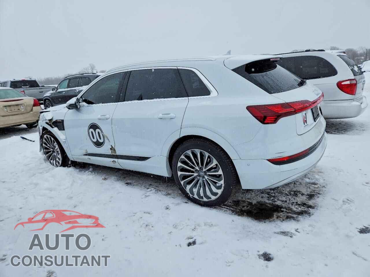 AUDI E-TRON 2019 - WA1VABGE4KB013254