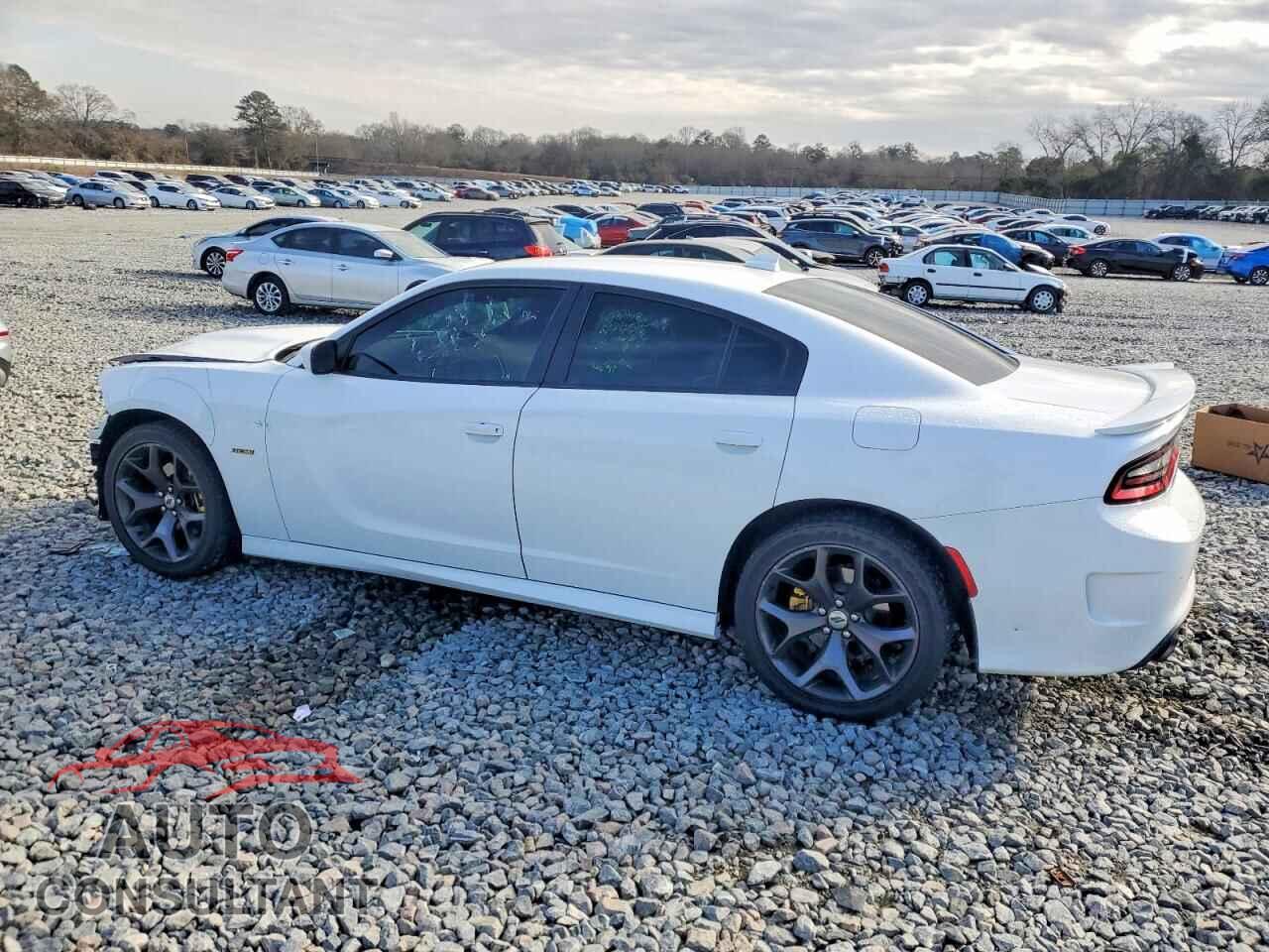DODGE CHARGER 2019 - 2C3CDXCTXKH757202