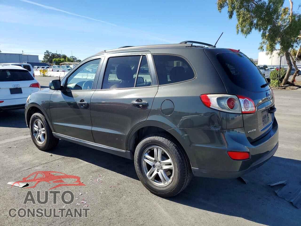 HYUNDAI SANTA FE 2010 - 5NMSGDAB3AH344774