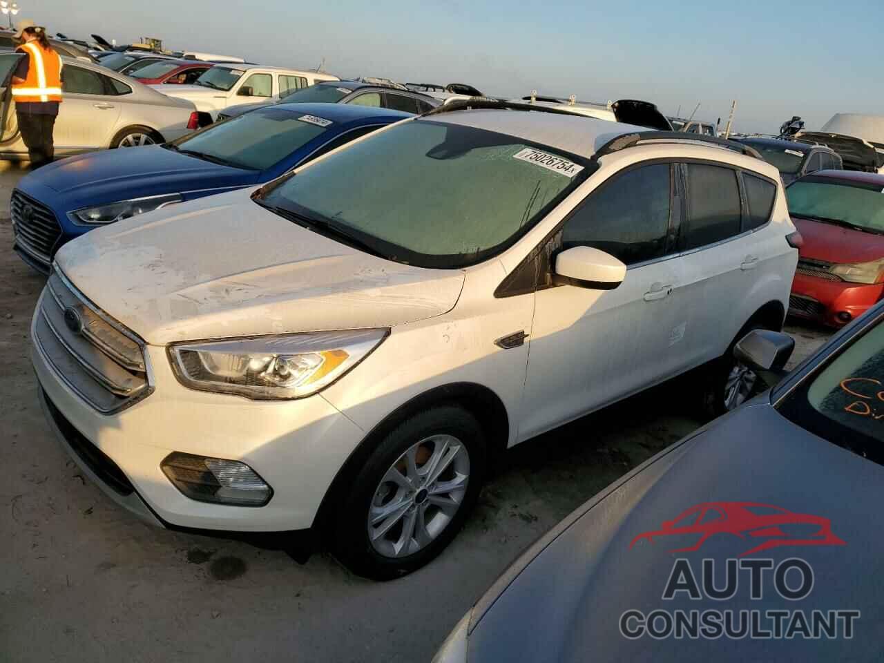 FORD ESCAPE 2019 - 1FMCU0HD4KUB47597