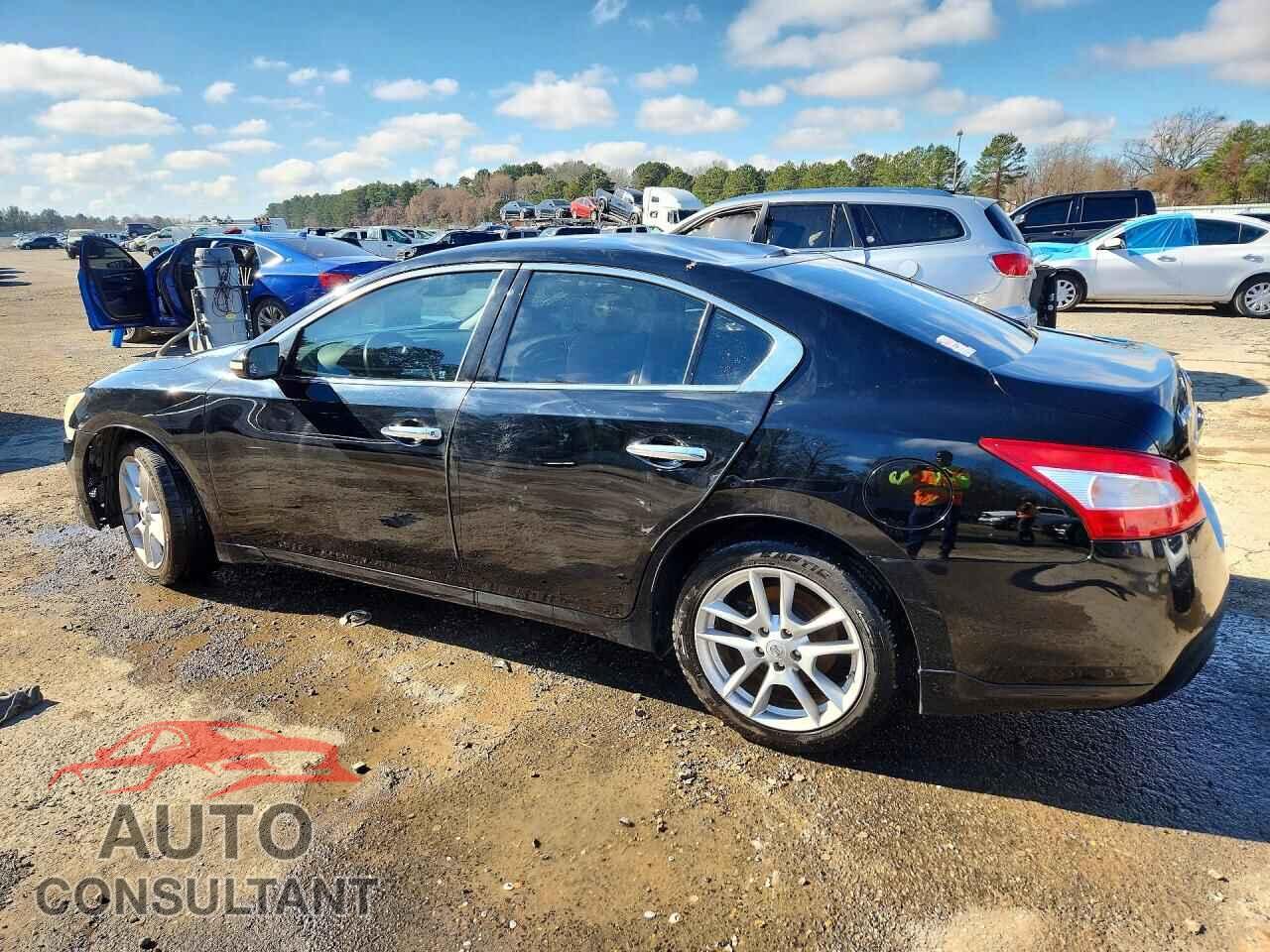 NISSAN MAXIMA 2011 - 1N4AA5AP1BC803630