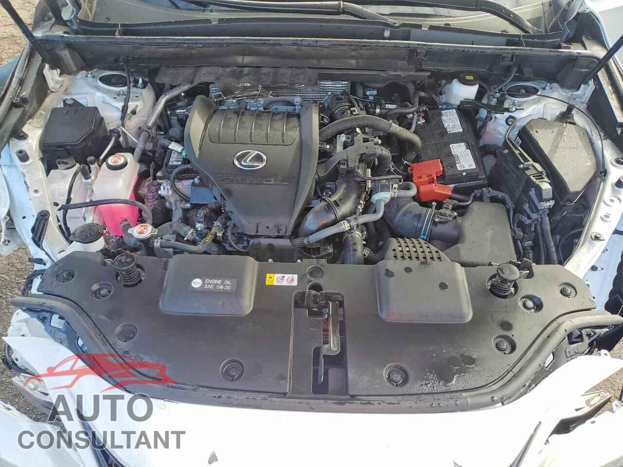 LEXUS UNKNOWN 2025 - 2T2GGCEZ7SC077312