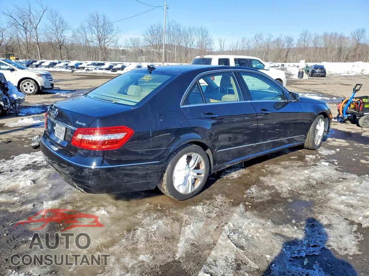 MERCEDES-BENZ E-CLASS 2010 - WDDHF8HBXAA092533