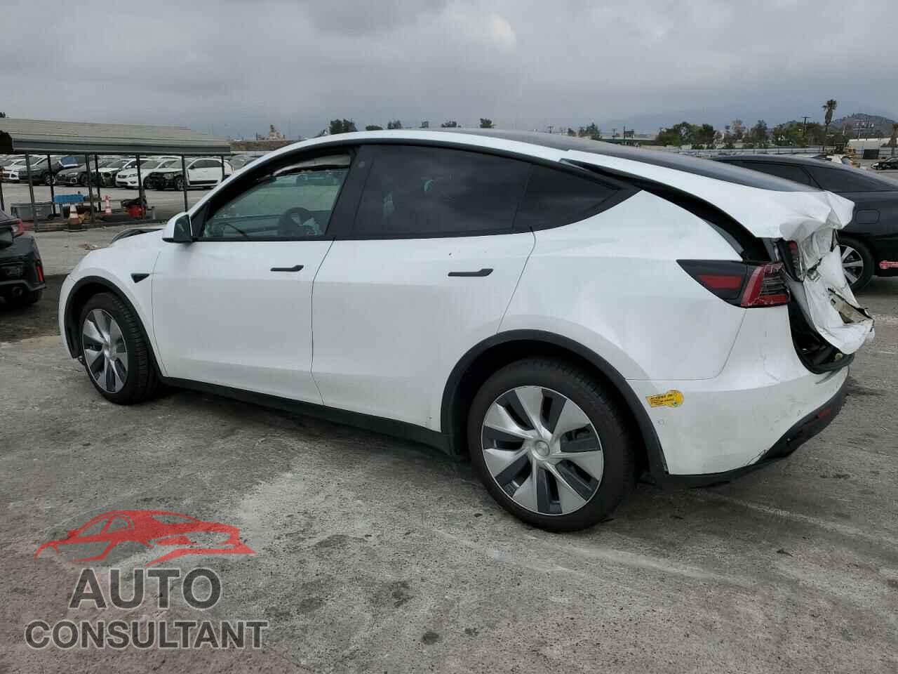 TESLA MODEL Y 2022 - 7SAYGDEE3NF332035