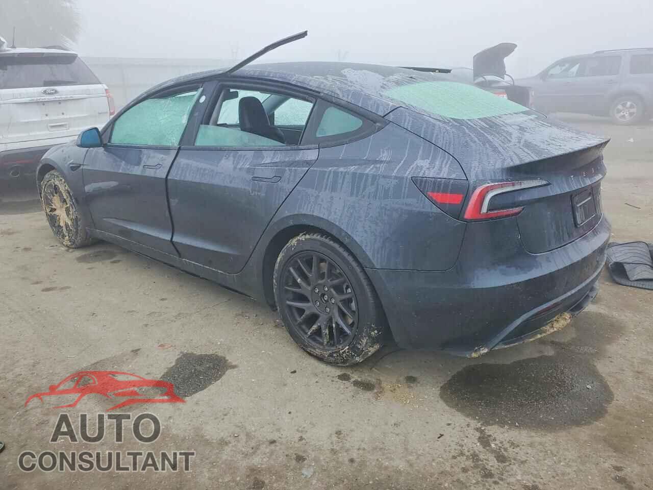 TESLA MODEL 3 2025 - 5YJ3E1EA8SF917925
