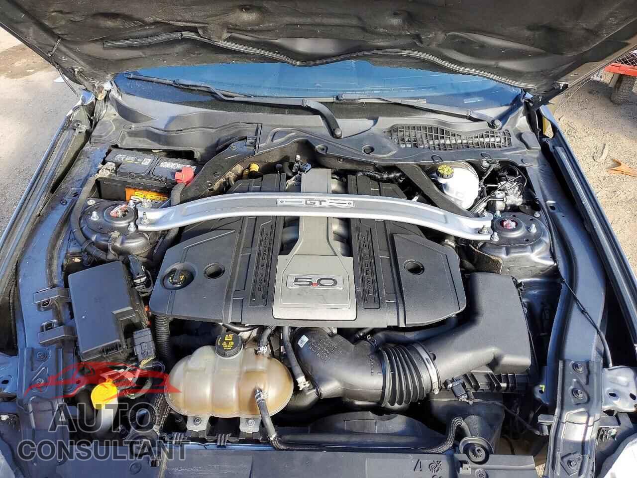 FORD MUSTANG 2019 - 1FA6P8CF3K5129429