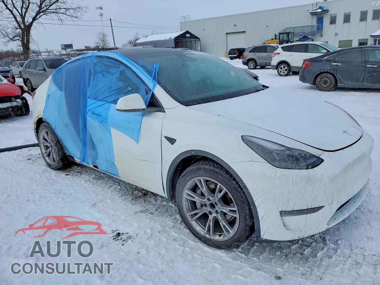 TESLA MODEL Y 2023 - LRWYGDFD5PC904870