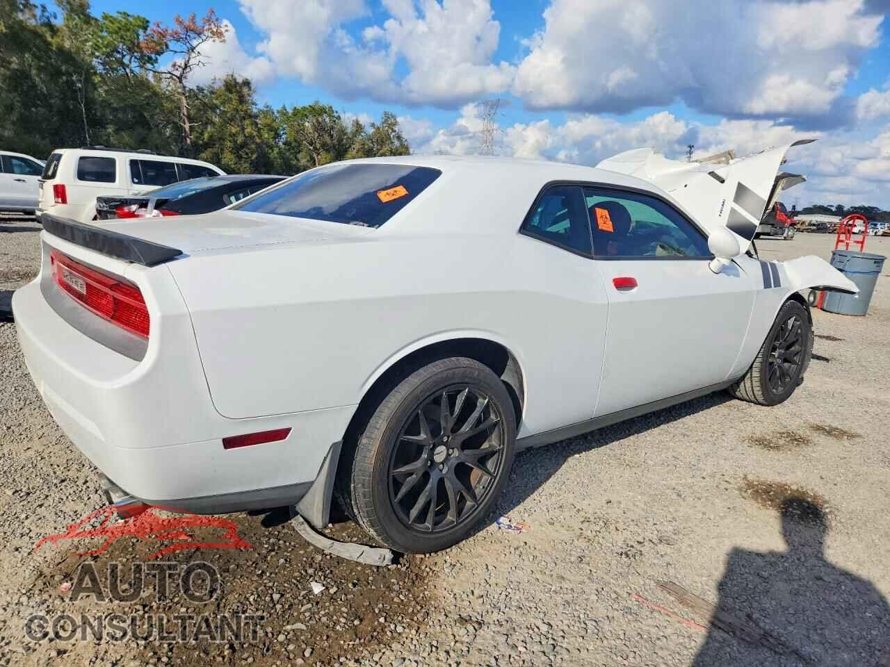 DODGE CHALLENGER 2014 - 2C3CDYAG4EH133881
