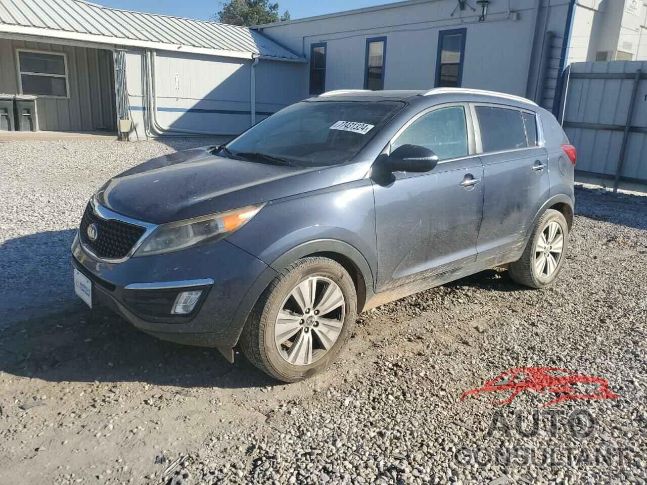 KIA SPORTAGE 2016 - KNDPC3AC5G7846867