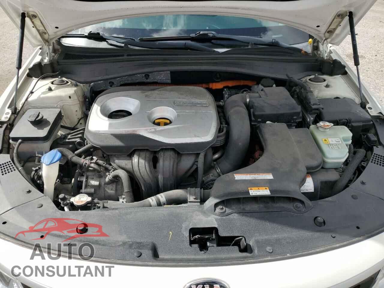 KIA OPTIMA 2017 - KNAGU4LE6H5010612