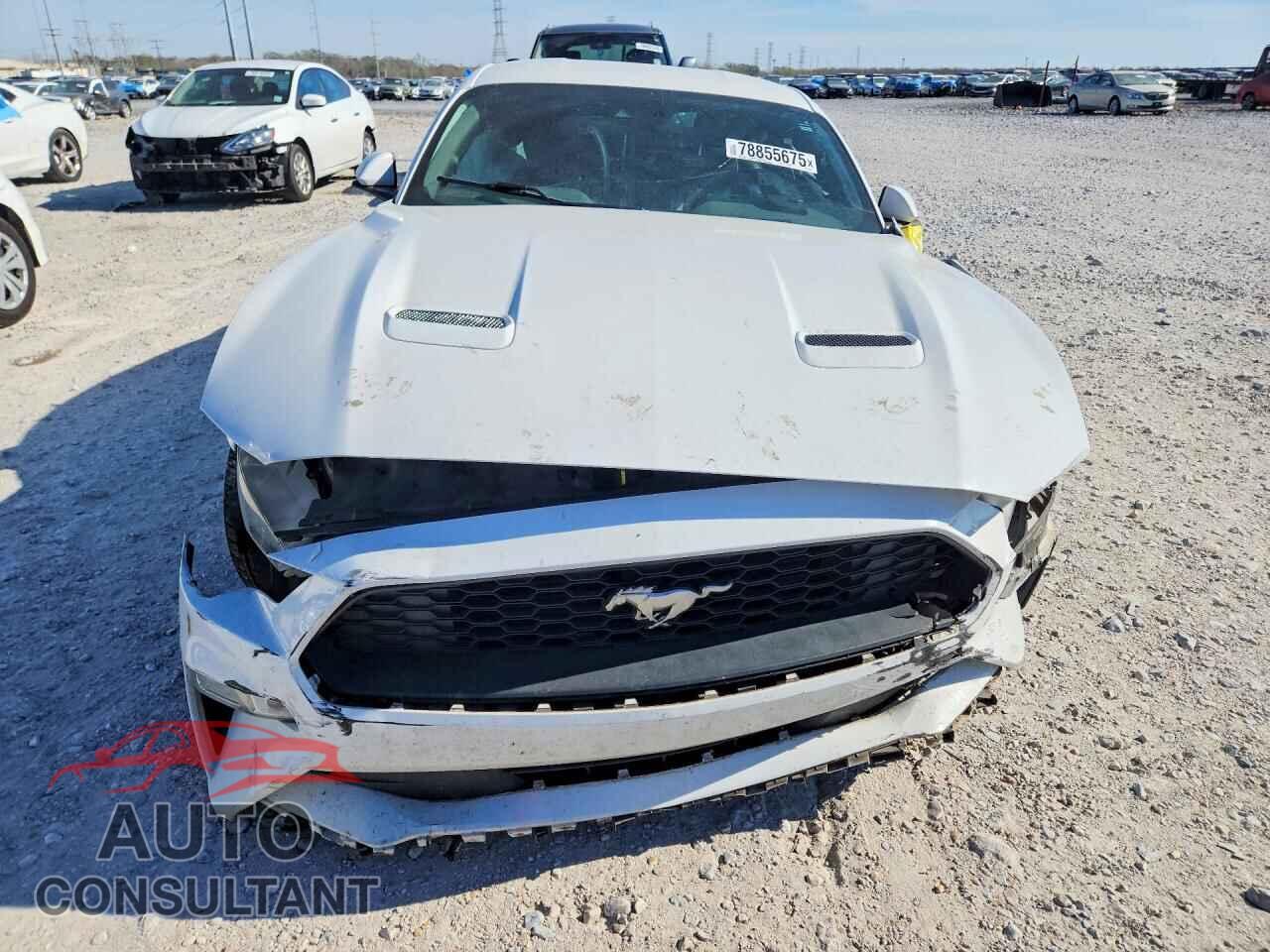 FORD MUSTANG 2019 - 1FA6P8TH0K5199908