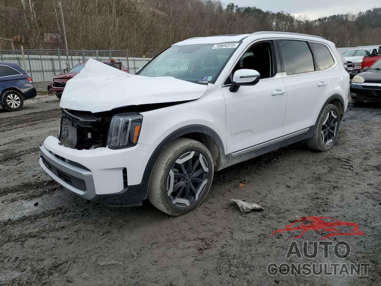 KIA TELLURIDE 2024 - 5XYP34GCXRG413208