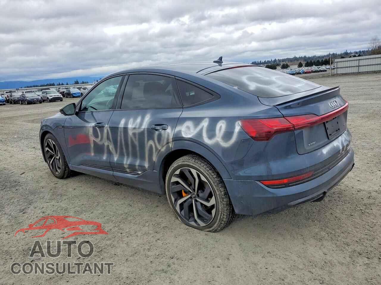 AUDI E-TRON 2022 - WA12AAGE9NB021996