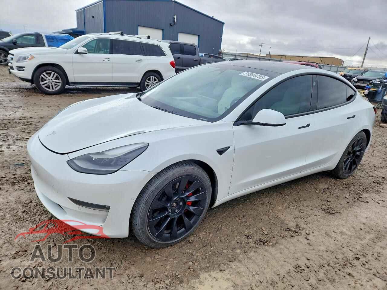TESLA MODEL 3 2021 - 5YJ3E1ECXMF044831