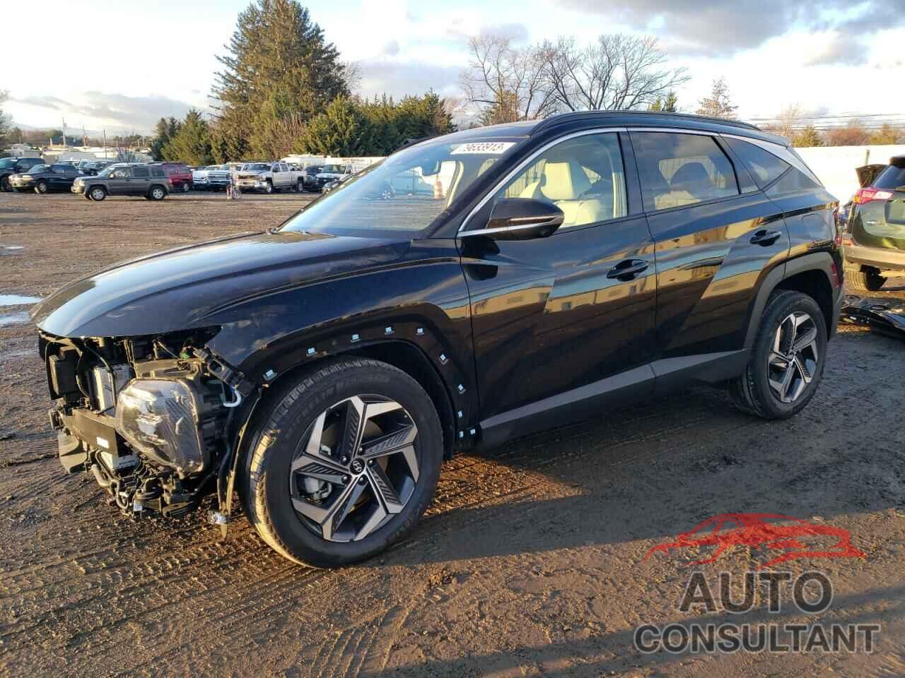 HYUNDAI TUCSON 2023 - KM8JECA15PU111866