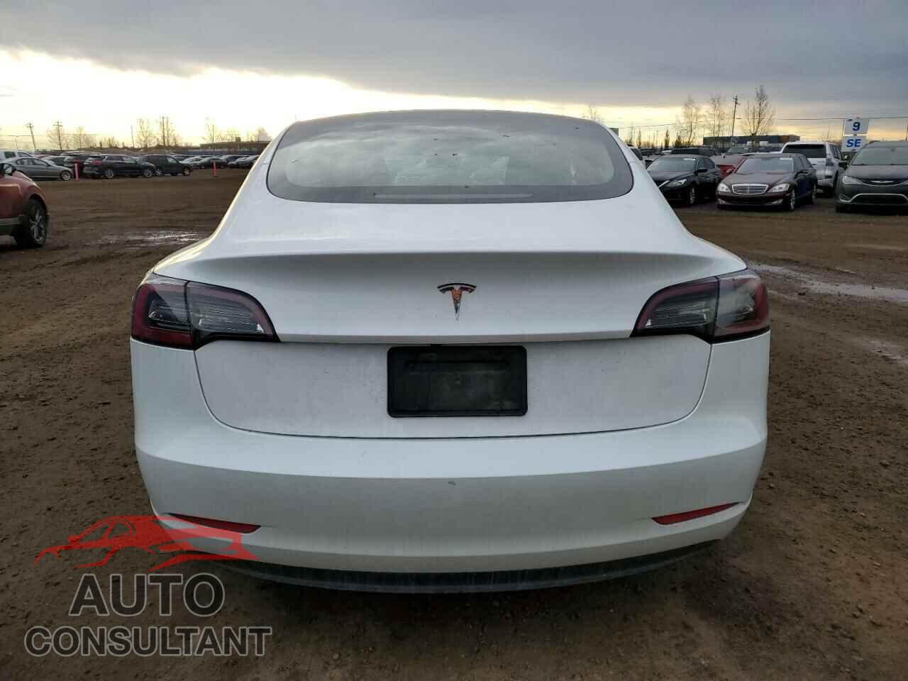 TESLA MODEL 3 2023 - 5YJ3E1EA5PF484801