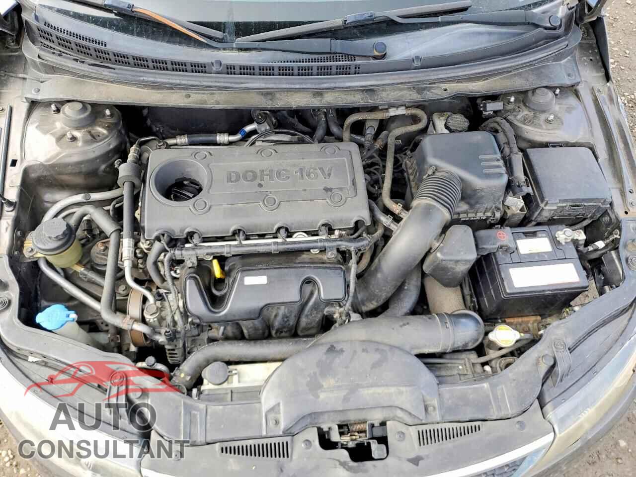 KIA FORTE 2011 - KNAFU4A27B5450737