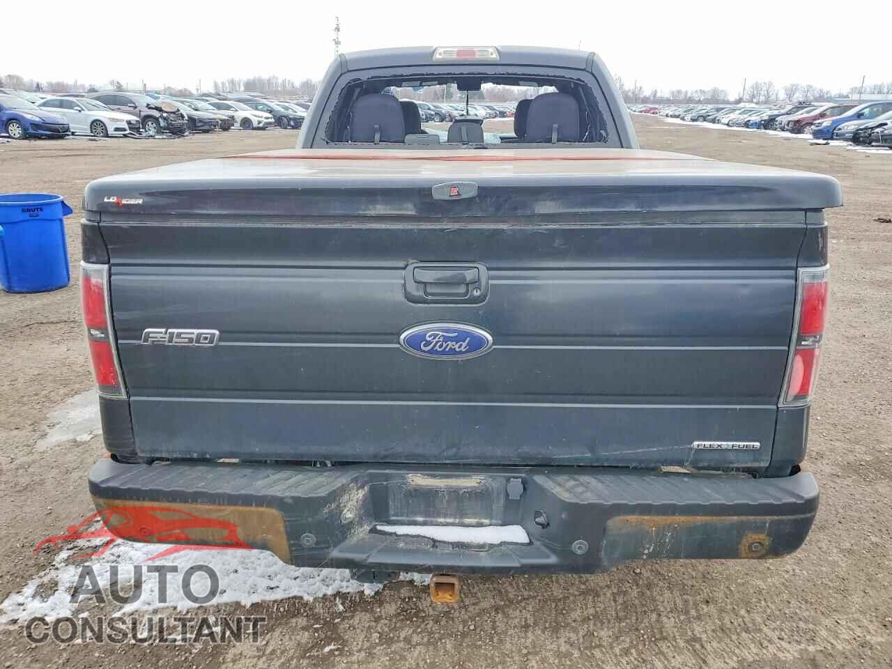 FORD F150 2013 - 1FTFX1EF2DFB25206