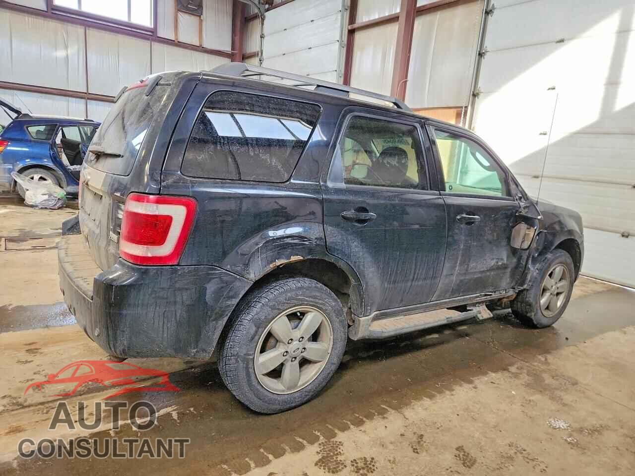 FORD ESCAPE 2010 - 1FMCU9EG4AKD08785