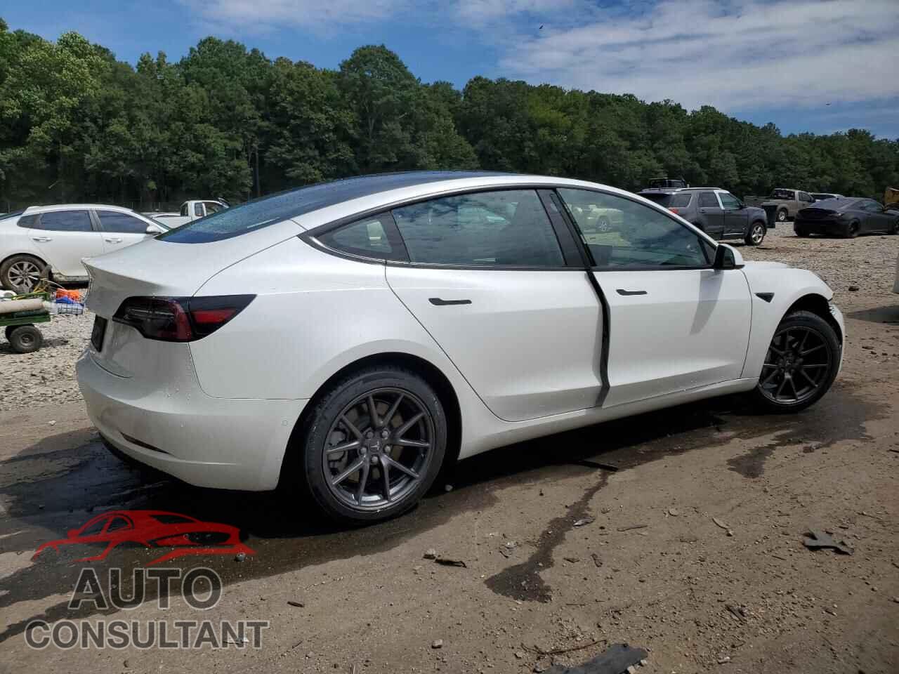 TESLA MODEL 3 2021 - 5YJ3E1EA9MF027341
