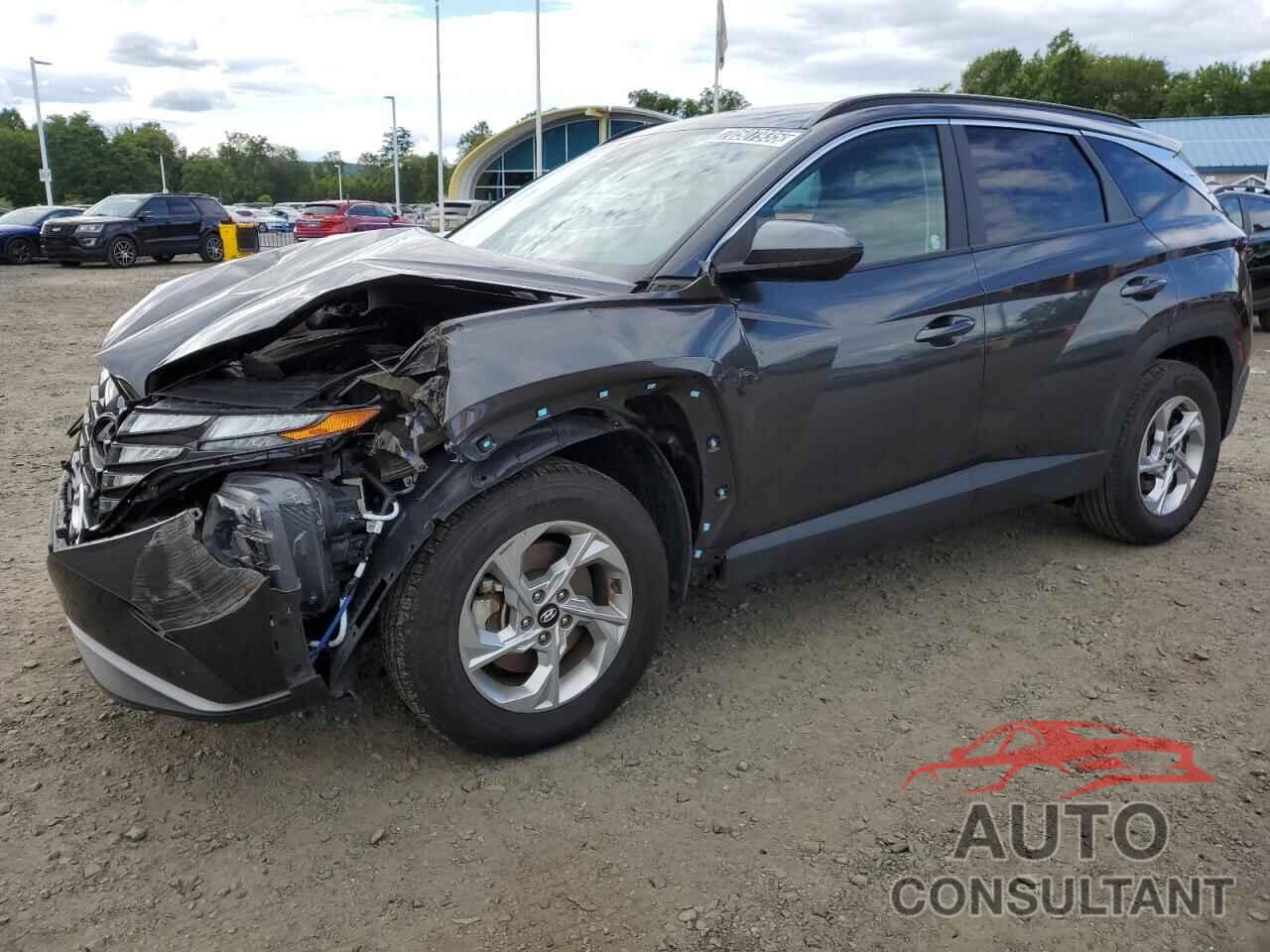 HYUNDAI TUCSON 2024 - 5NMJBCDE6RH306073
