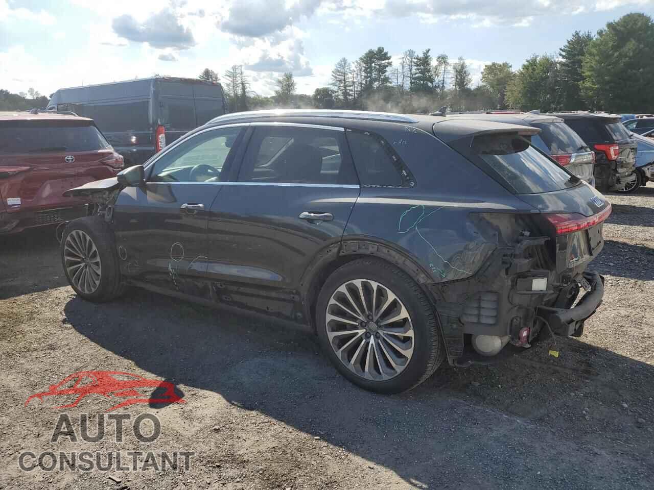 AUDI E-TRON 2019 - WA1VABGE2KB009011