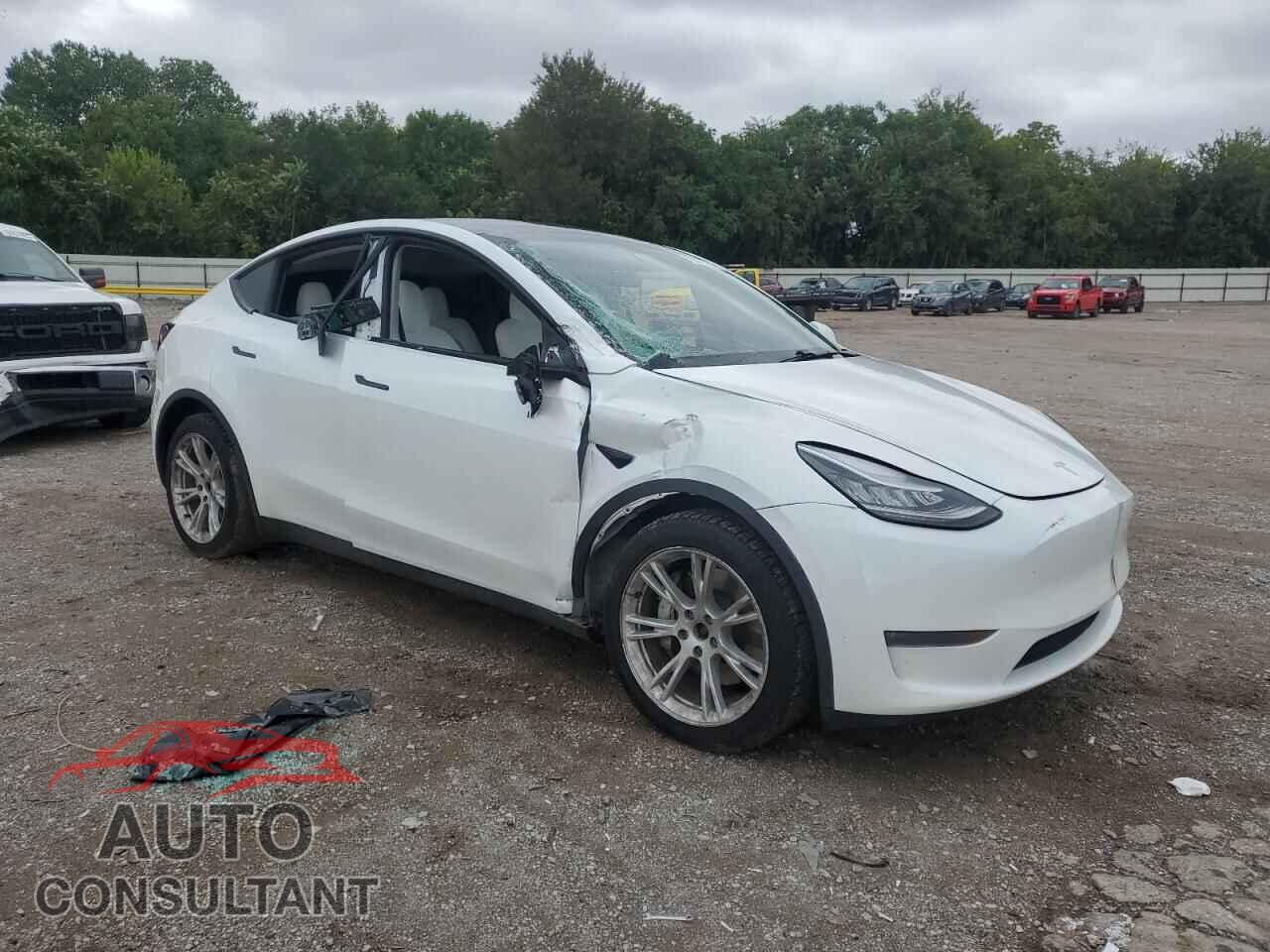 TESLA MODEL Y 2020 - 5YJYGDEEXLF017629