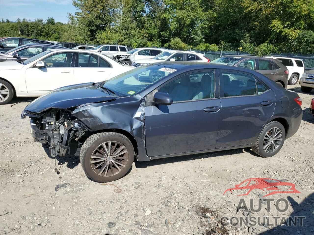 TOYOTA COROLLA 2016 - 2T1BURHE7GC562365