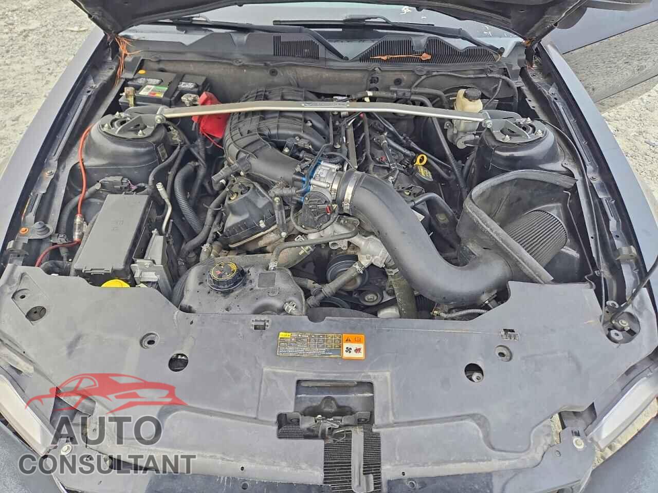 FORD MUSTANG 2011 - 1ZVBP8AM4B5155643