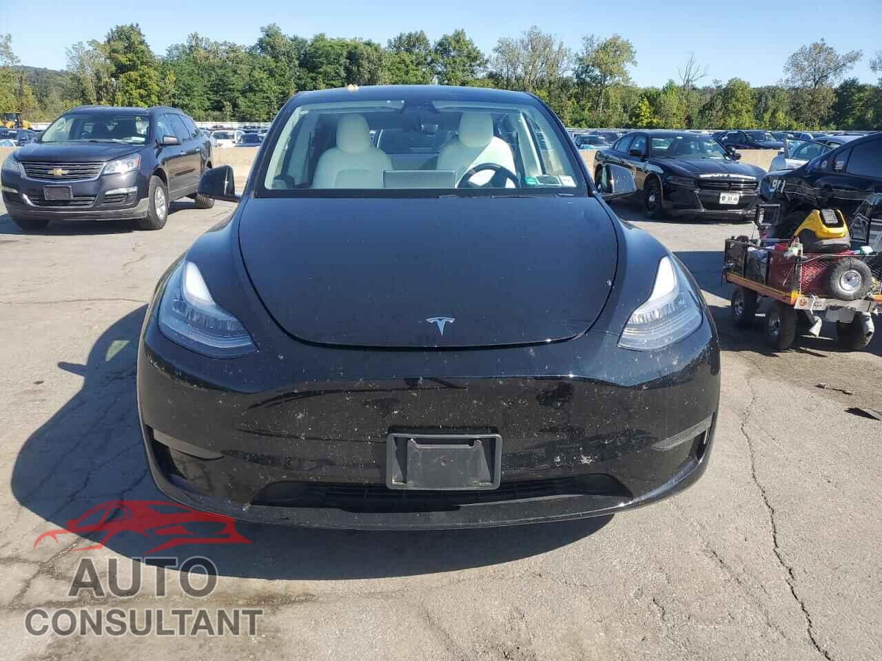 TESLA MODEL Y 2021 - 5YJYGDEEXMF068761