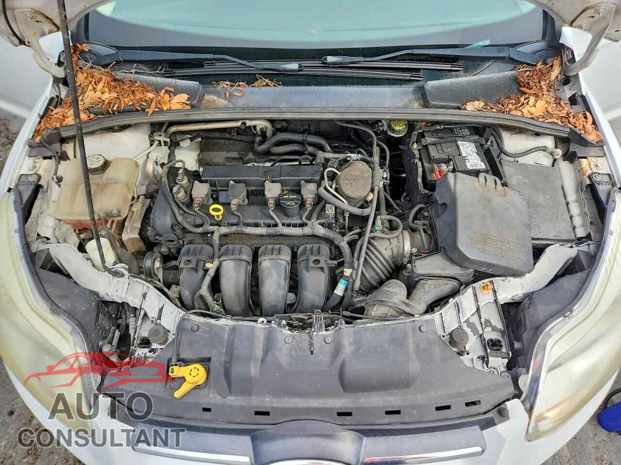 FORD FOCUS 2013 - 1FADP3F20DL157092